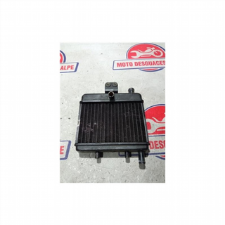 Radiador agua RIEJU rs150