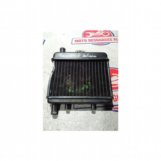 Radiador agua RIEJU rs150