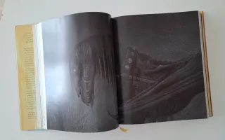 Harry Potter y la Orden del Fénix