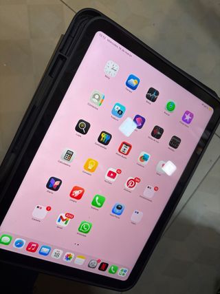 iPad 10ª Gen Rosa