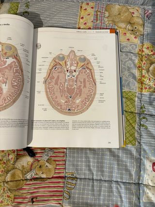 Prometheus anatomia tercera edicion.