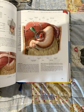 Prometheus anatomia tercera edicion.