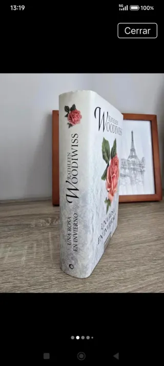 Una Rosa En Invierno