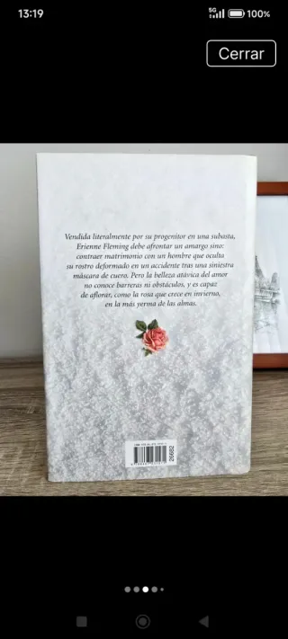 Una Rosa En Invierno