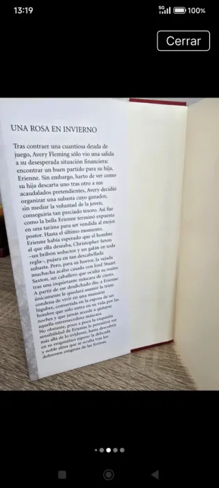 Una Rosa En Invierno