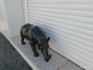 Figura Rinoceronte de piel