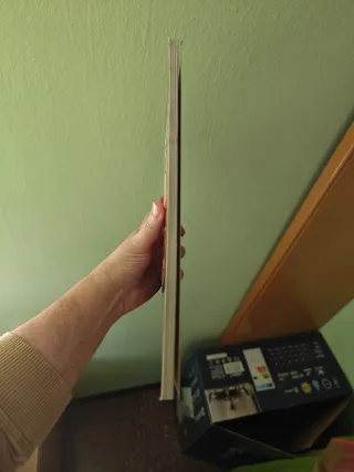 Torrente. el Brazo Tonto de la Ley. The Book