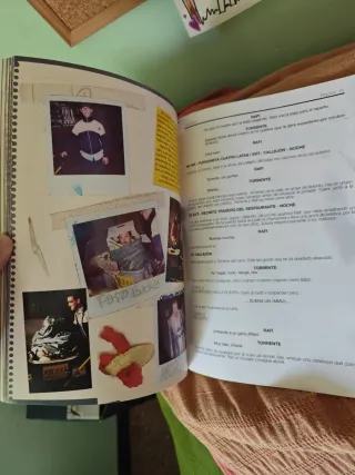 Torrente. el Brazo Tonto de la Ley. The Book