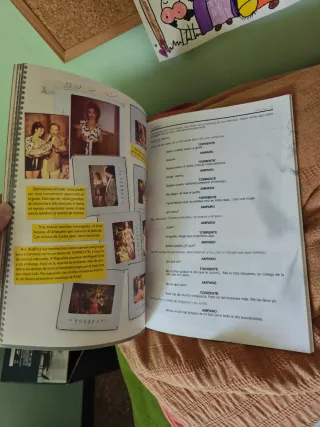 Torrente. el Brazo Tonto de la Ley. The Book