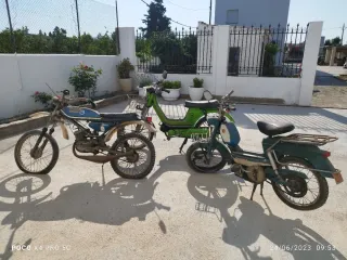 Ciclomotores derbi variant