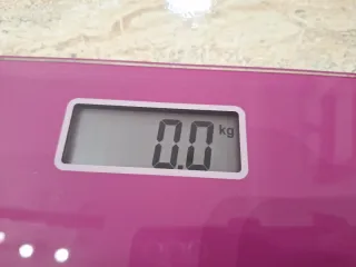 Báscula digital Rowenta