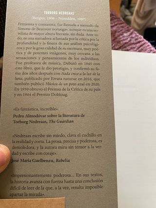 Torborg Nedreaas./ Detrás del armario, el hacha