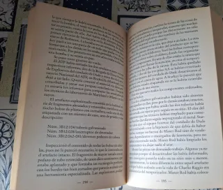 Libro: El ángel demoledor