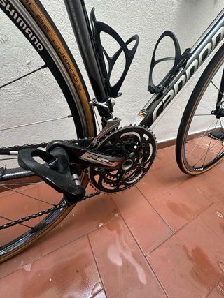 Cannondale Evo Talla 56