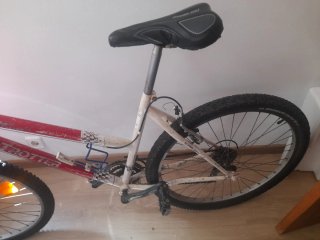 Bicicleta montaña adulto