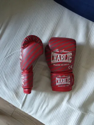 Guantes Boxeo Charlie 12oz Rojos