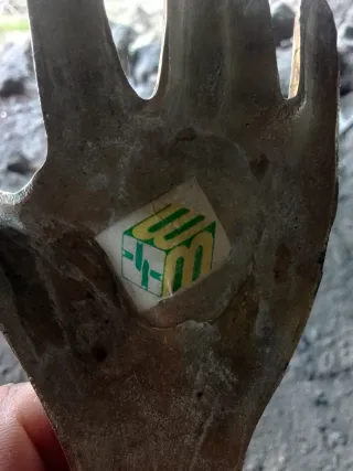 Mano Vintage Latón y Esmalte Cloisonné 18cm