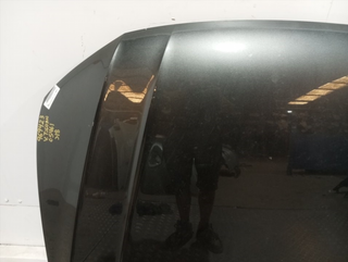 CAPO VOLKSWAGEN TIGUAN (AD1) CZC