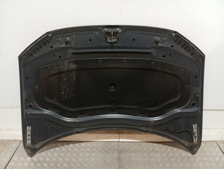 CAPO VOLKSWAGEN TIGUAN (AD1) CZC