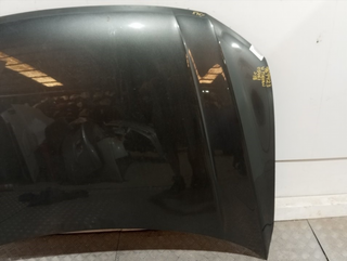 CAPO VOLKSWAGEN TIGUAN (AD1) CZC