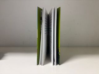 Une Bien Curieuse Factrice