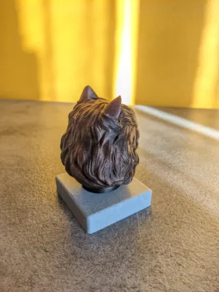 Busto Gatto Bronzo Base Effetto Pietra