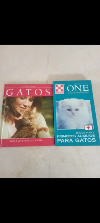 Lote de 2 Libros gatos