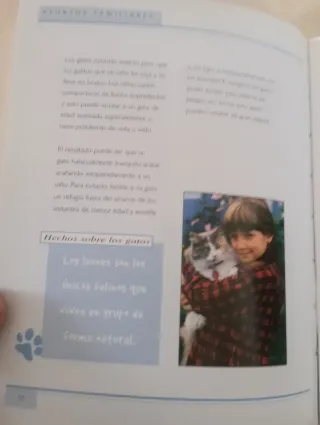 Lote de 2 Libros gatos