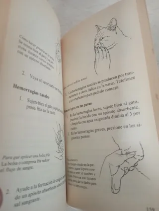 Lote de 2 Libros gatos