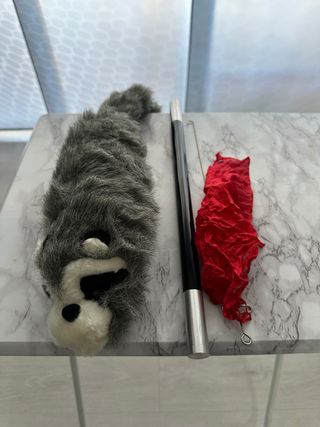 Raccoon y varita mágica para desaparecer pañuelo
