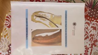 Cuaderno de practicas de endodoncia