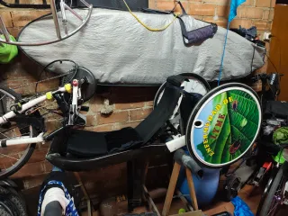 Bicicleta eléctrica para discapacitados