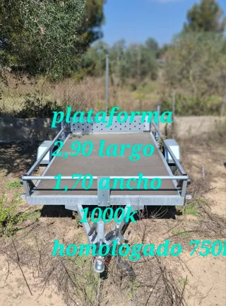 Remolque Bugui con Freno
