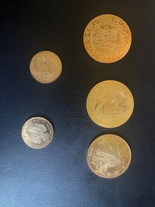 Collezione di monete d'oro