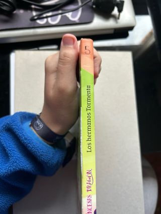 Princesas Dragón 5: Los hermanos Tormenta