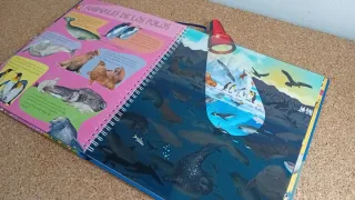 Libro Linterna Interactivo Infantil