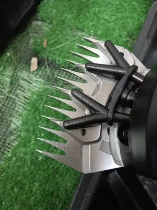 Tosatrice Pecora Elettrica