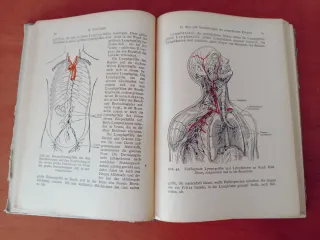 Einführung in die Krankenpflege Georg Thieme