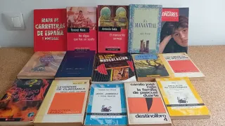 Lote 20 Libros