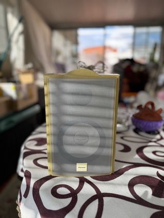 Altavoz Pioneer Beige