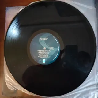 LP 1990 USA BLUES ROCK The Tail Gators Vinilo VG+