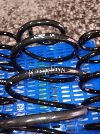 Muelles Eibach Suspension Reforzados