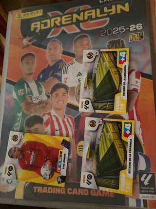 Lote 2 cromos fútbol Panini