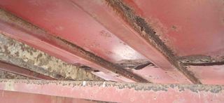 Remolque extendedor estiercol SIAM 14T.