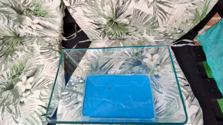 Acuario/Terrario de cristal