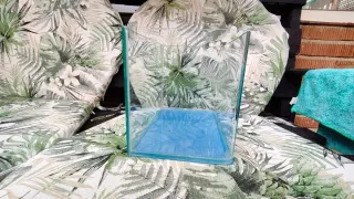 Acuario/Terrario de cristal