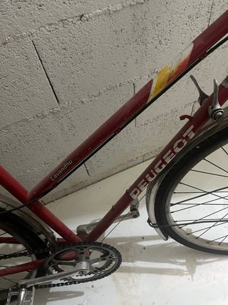 Bicicleta Peugeot Lavandou Años 50
