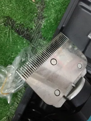 Tosa cavallo elettrica 850W