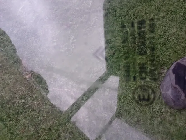 Cristal Delantero Izquierdo Citroen C15