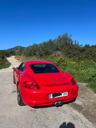 Porsche Cayman